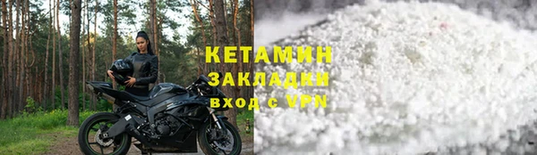 крисы Бородино