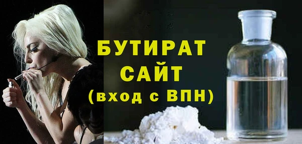 крисы Бородино
