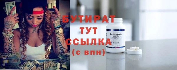 крисы Бородино