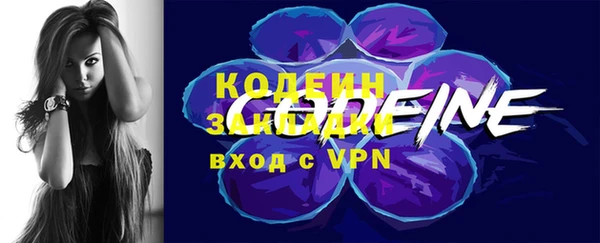 крисы Бородино