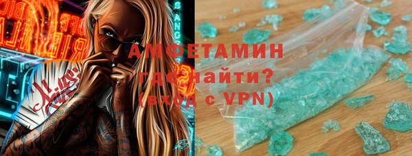 крисы Бородино