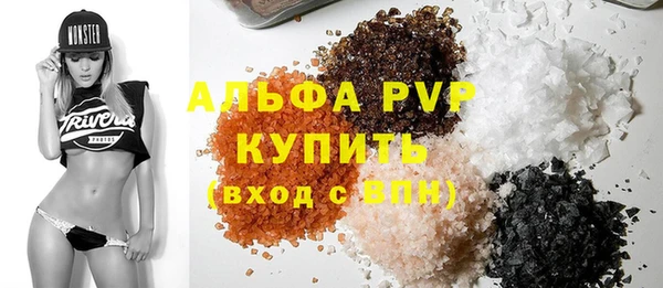 крисы Бородино