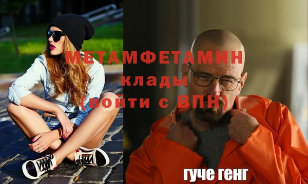 прущие грибы Снежногорск